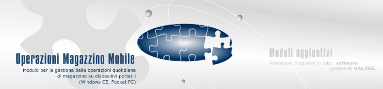 gestione magazzino con palmari